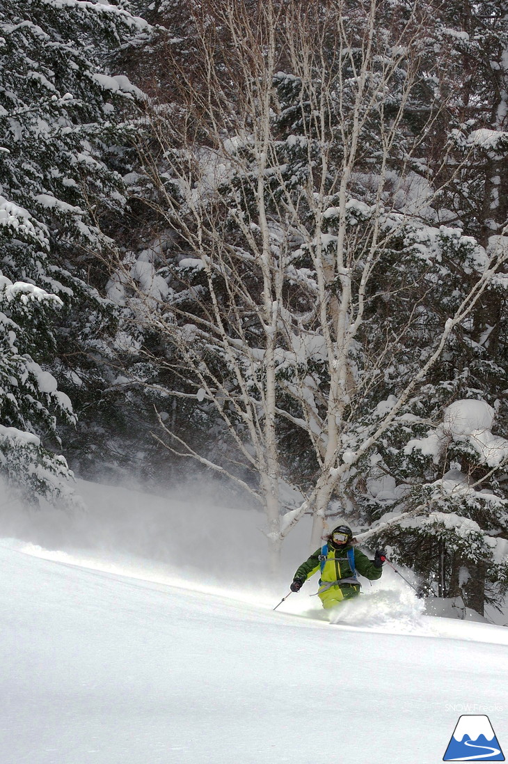 いざ極寒パウダーへ！占冠バックカントリースキー・Backcountry Skiing！